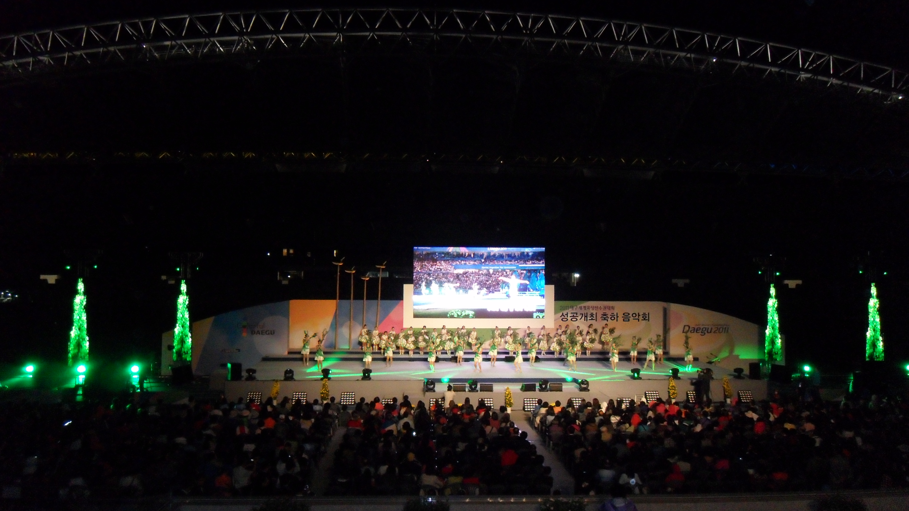 2011대구세계육상선수권대회 성공 개..