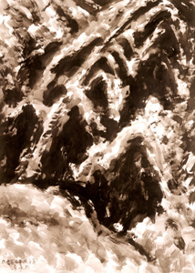 내설악가야동계곡