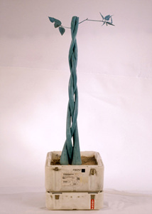 화분-꼬여서자라는나무