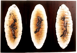 기원으로의여행(성장)