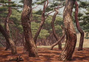Motherly pine forest