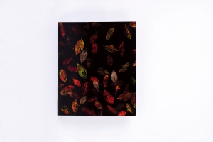 능수벗꽃나뭇잎 흔적