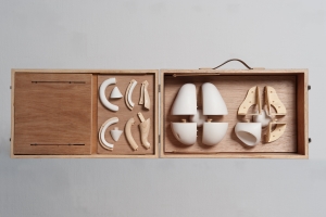 분열,팽창,돌기