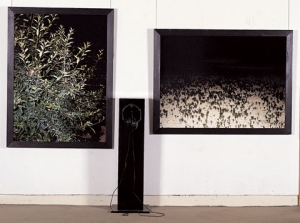 사진음향 #4-1,4-2