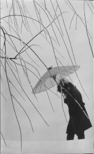 집으로 가는 길