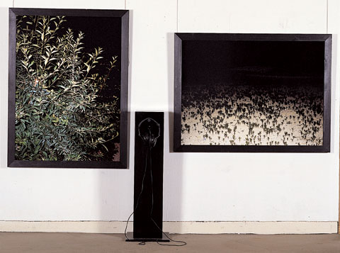 사진음향 #4-1,4-2