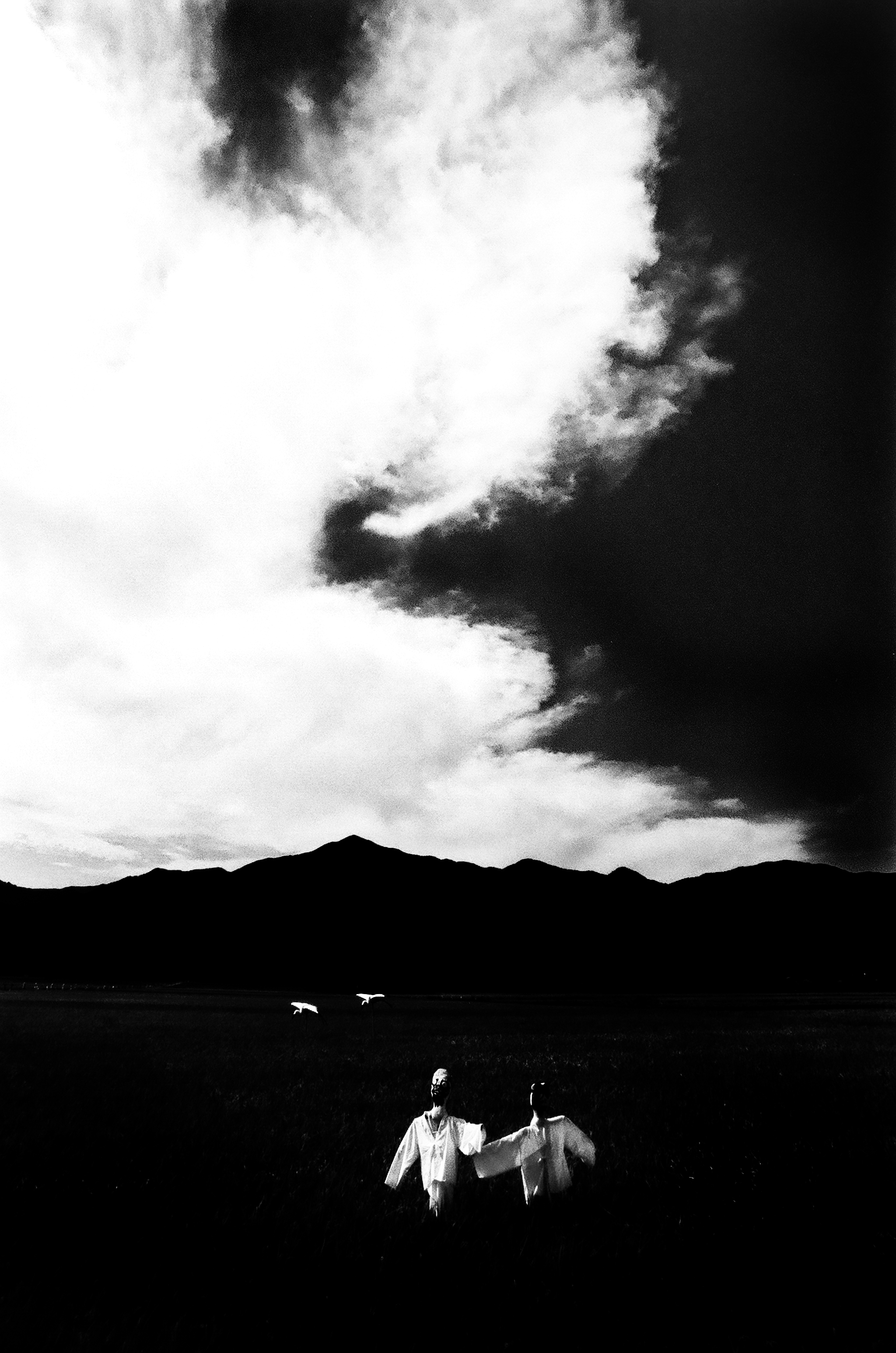 제2회 대구흑백사우회전