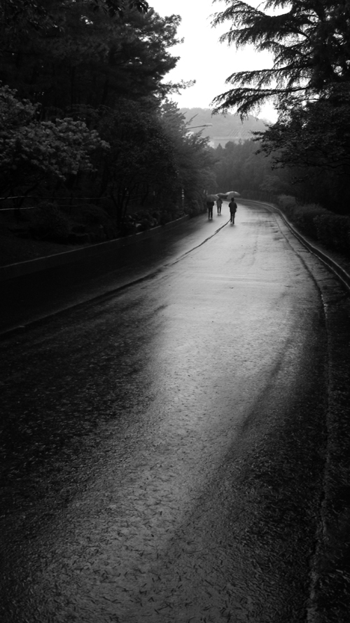 <기획전시> 시민참여 프로젝트 09두류공원의 재발견