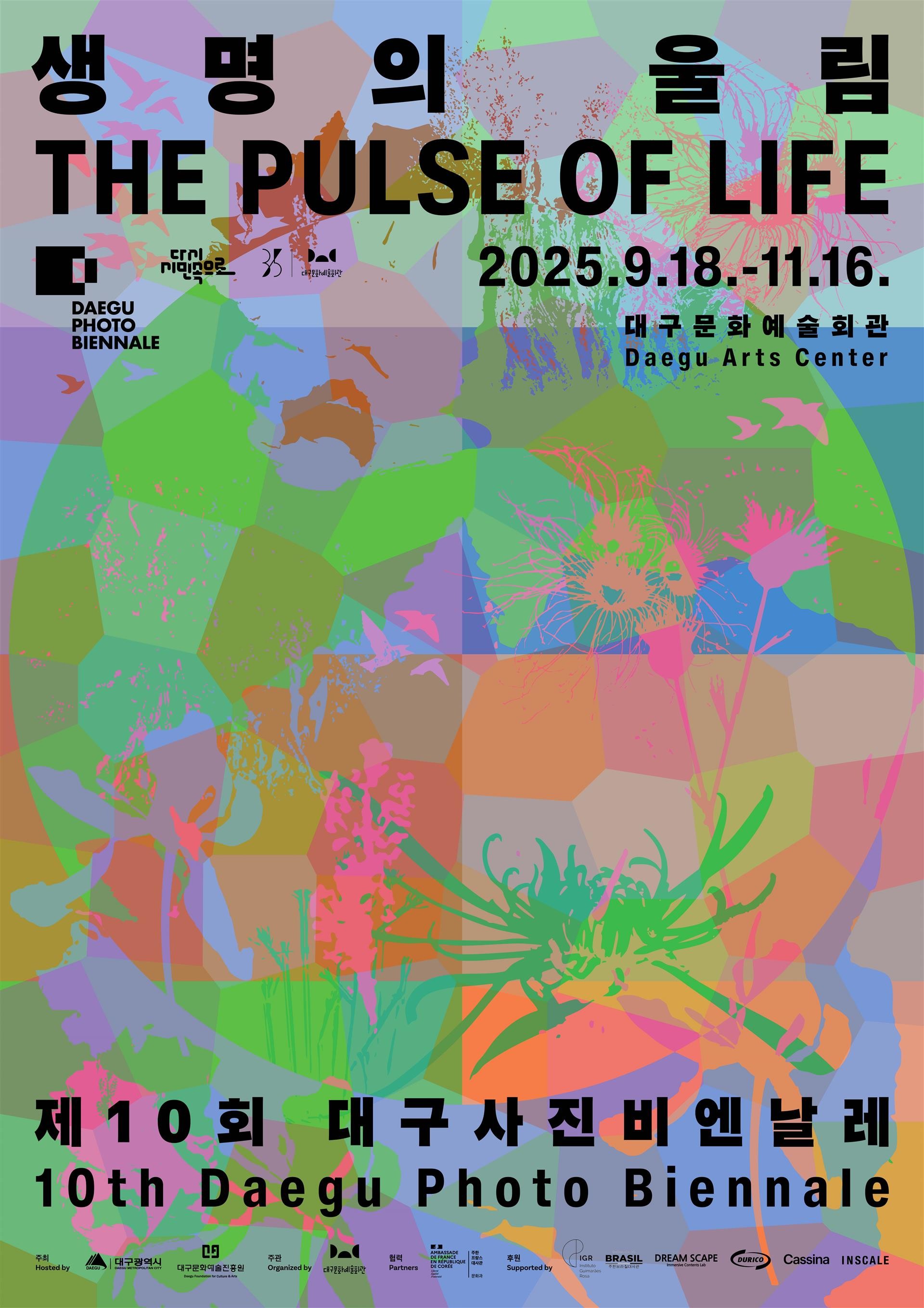 제10회 대구사진비엔날레