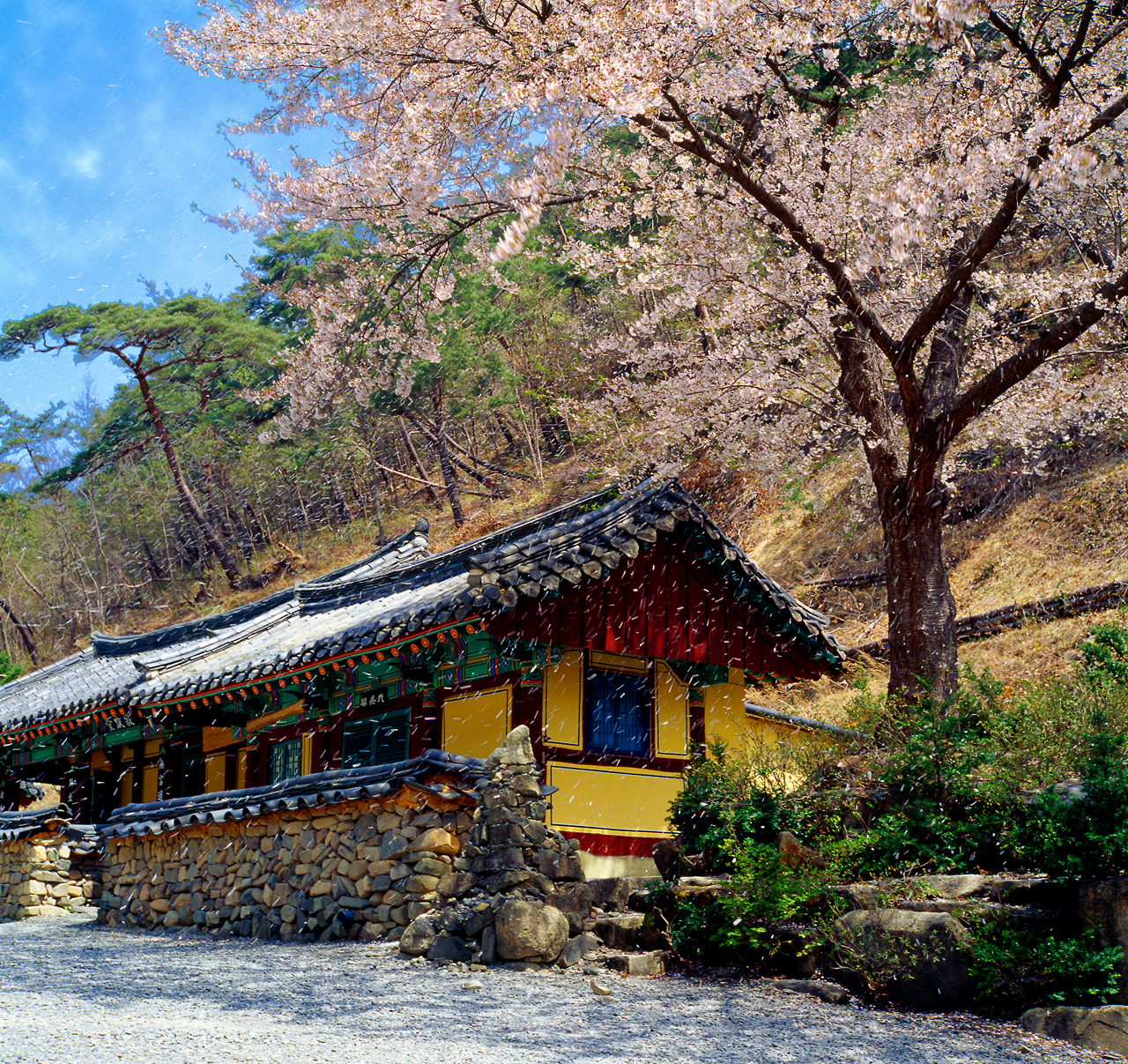 제14회 한국불교사진협회 회원전