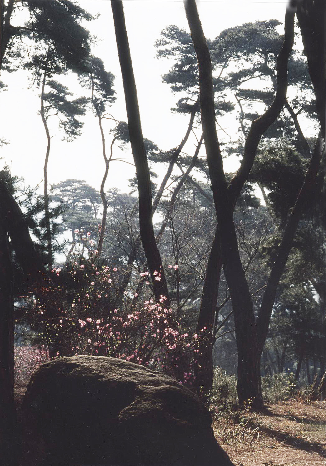 2009년 대구사진작가 동우회 합동전